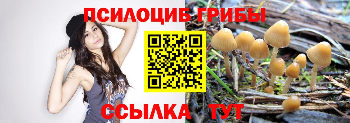 Евпатория  Псилоцибиновые грибы мухоморы  Галлюциногенные грибы мухоморы  Вход с VPN 