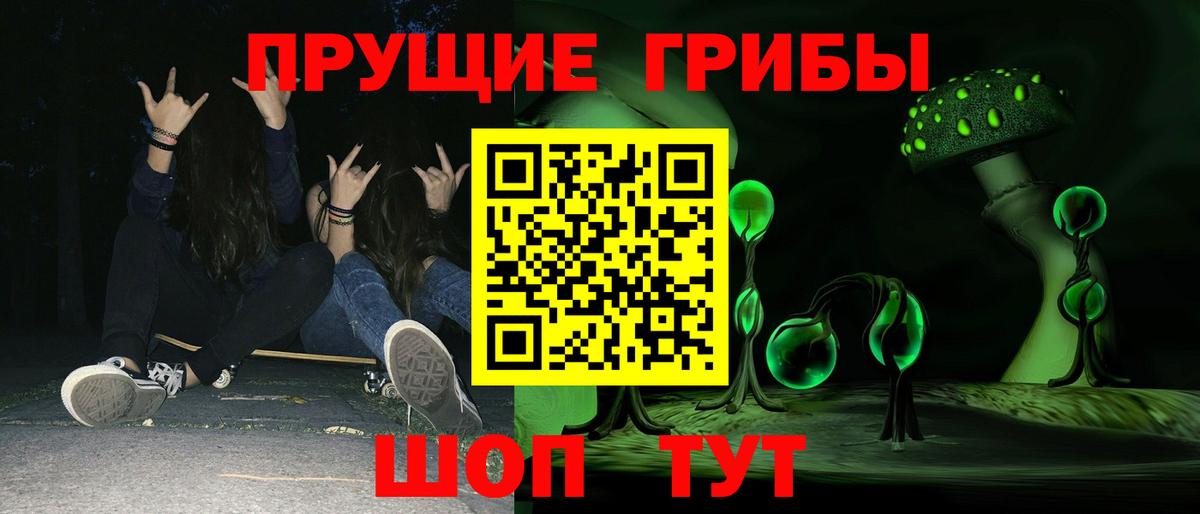 Псилоцибиновые грибы Psilocybe Евпатория